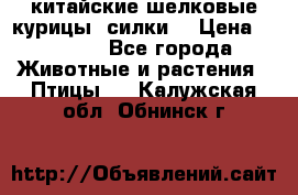 китайские шелковые курицы (силки) › Цена ­ 2 500 - Все города Животные и растения » Птицы   . Калужская обл.,Обнинск г.